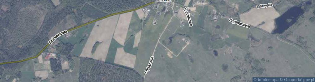 Zdjęcie satelitarne Pejzażowa ul.